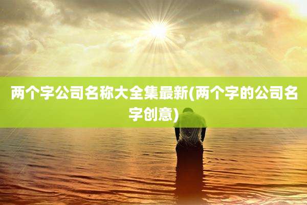 两个字公司名称大全集最新(两个字的公司名字创意)