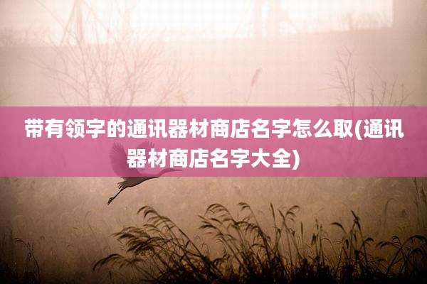 带有领字的通讯器材商店名字怎么取(通讯器材商店名字大全)