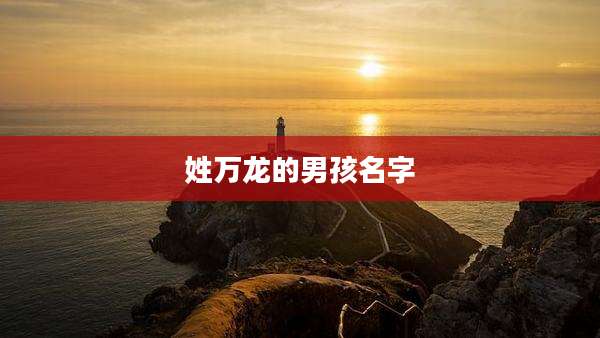 姓万龙的男孩名字