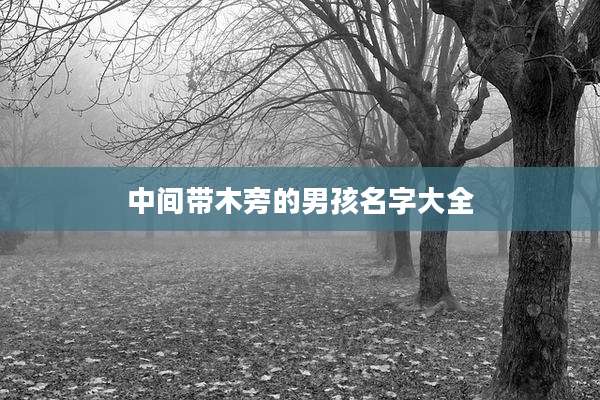 中间带木旁的男孩名字大全