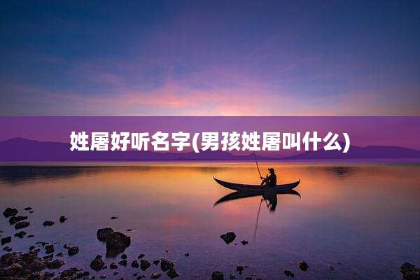 姓屠好听名字(男孩姓屠叫什么)