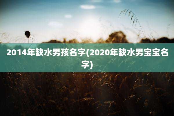 2014年缺水男孩名字(2020年缺水男宝宝名字)
