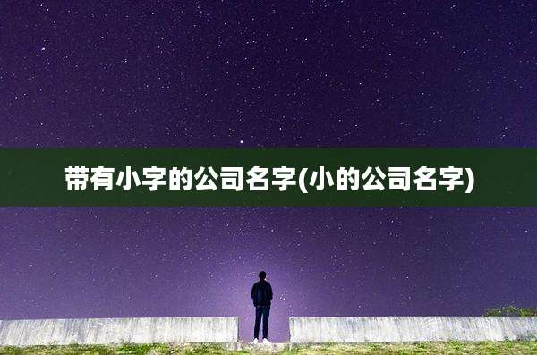 带有小字的公司名字(小的公司名字)