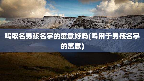鸣取名男孩名字的寓意好吗(鸣用于男孩名字的寓意)