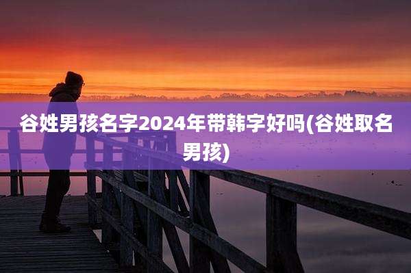 谷姓男孩名字2024年带韩字好吗(谷姓取名男孩)
