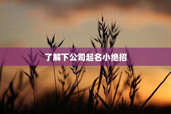 了解下公司起名小绝招