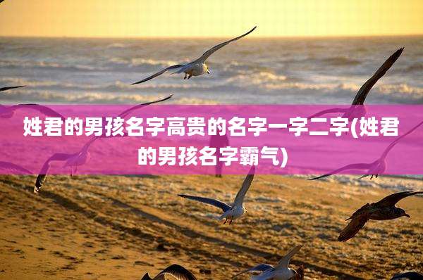姓君的男孩名字高贵的名字一字二字(姓君的男孩名字霸气)