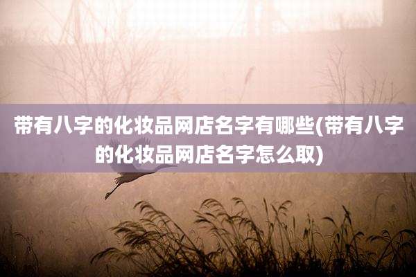 带有八字的化妆品网店名字有哪些(带有八字的化妆品网店名字怎么取)