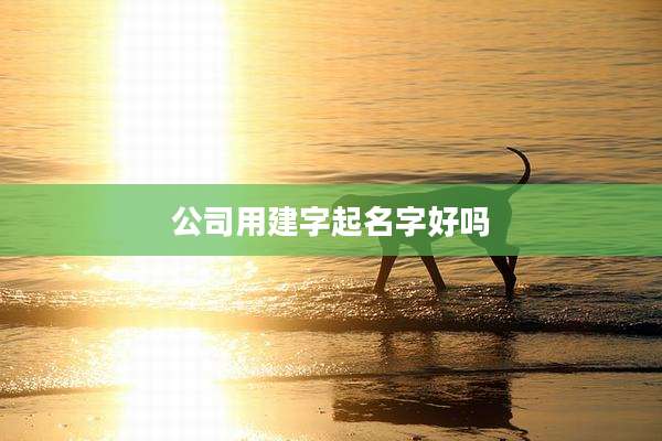 公司用建字起名字好吗