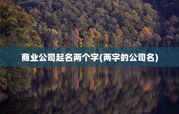 商业公司起名两个字(两字的公司名)