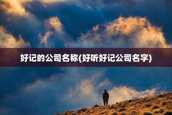 好记的公司名称(好听好记公司名字)