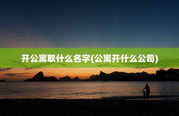 开公寓取什么名字(公寓开什么公司)
