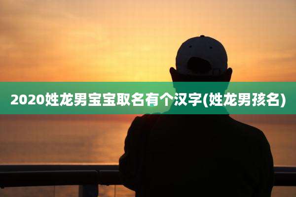 2020姓龙男宝宝取名有个汉字(姓龙男孩名)
