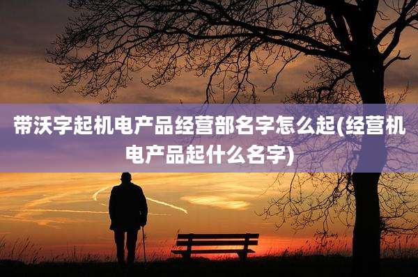 带沃字起机电产品经营部名字怎么起(经营机电产品起什么名字)
