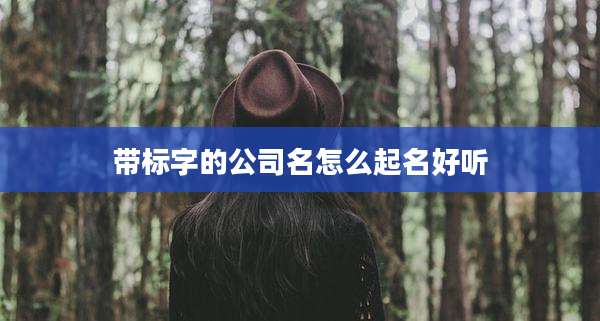 带标字的公司名怎么起名好听