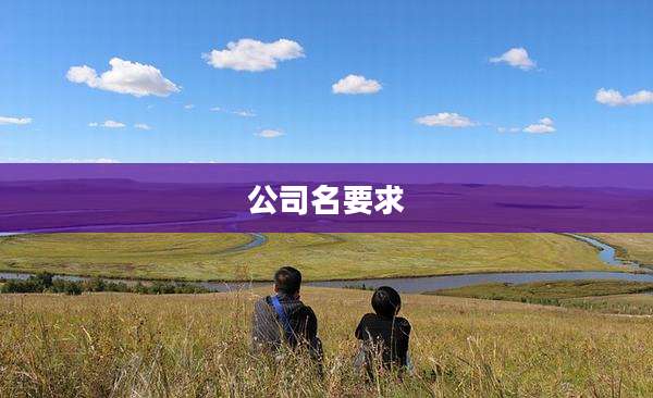 公司名要求