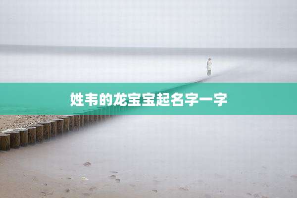 姓韦的龙宝宝起名字一字
