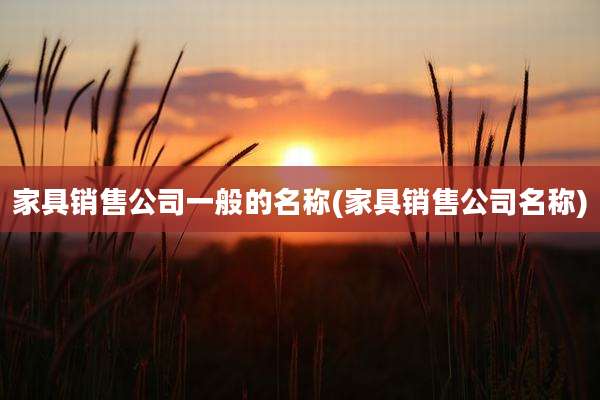 家具销售公司一般的名称(家具销售公司名称)