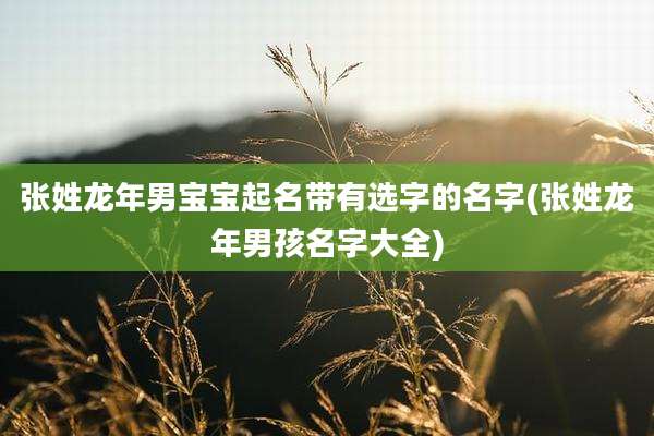 张姓龙年男宝宝起名带有选字的名字(张姓龙年男孩名字大全)