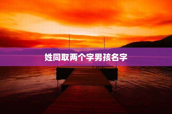 姓同取两个字男孩名字