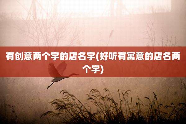 有创意两个字的店名字(好听有寓意的店名两个字)