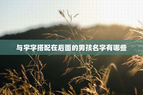 与宇字搭配在后面的男孩名字有哪些