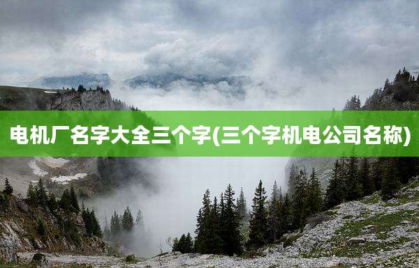 电机厂名字大全三个字(三个字机电公司名称)