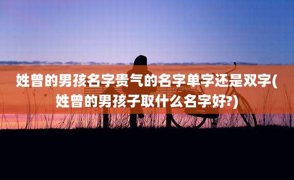 姓曾的男孩名字贵气的名字单字还是双字(姓曾的男孩子取什么名字好?)