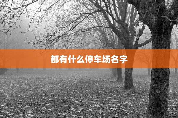 都有什么停车场名字