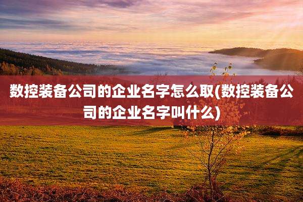 数控装备公司的企业名字怎么取(数控装备公司的企业名字叫什么)