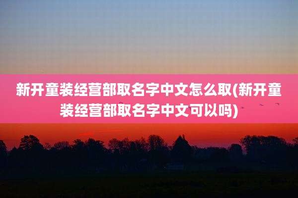 新开童装经营部取名字中文怎么取(新开童装经营部取名字中文可以吗)