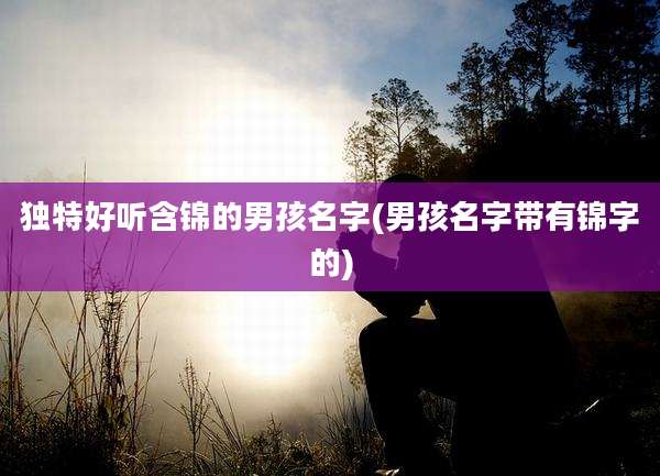 独特好听含锦的男孩名字(男孩名字带有锦字的)