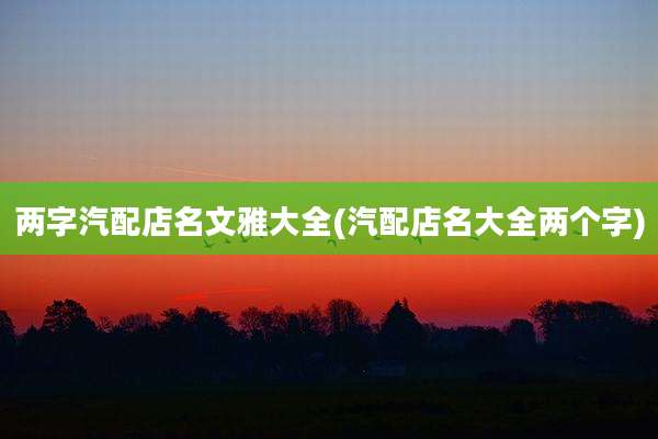 两字汽配店名文雅大全(汽配店名大全两个字)
