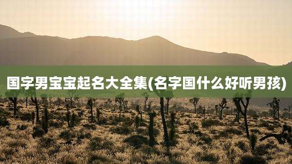 国字男宝宝起名大全集(名字国什么好听男孩)