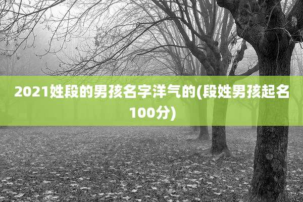 2021姓段的男孩名字洋气的(段姓男孩起名100分)