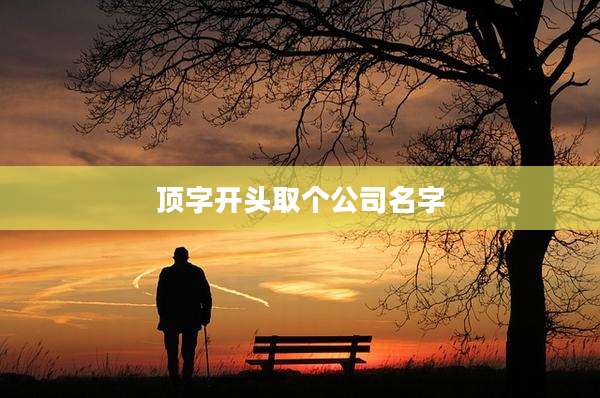 顶字开头取个公司名字