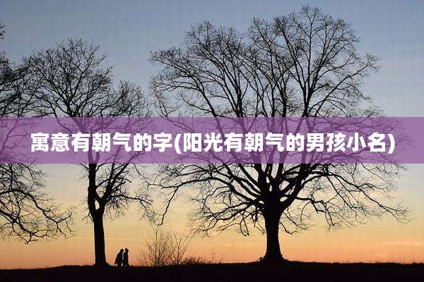 寓意有朝气的字(阳光有朝气的男孩小名)