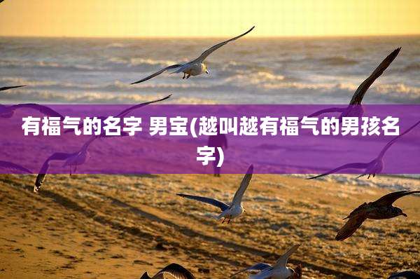 有福气的名字 男宝(越叫越有福气的男孩名字)