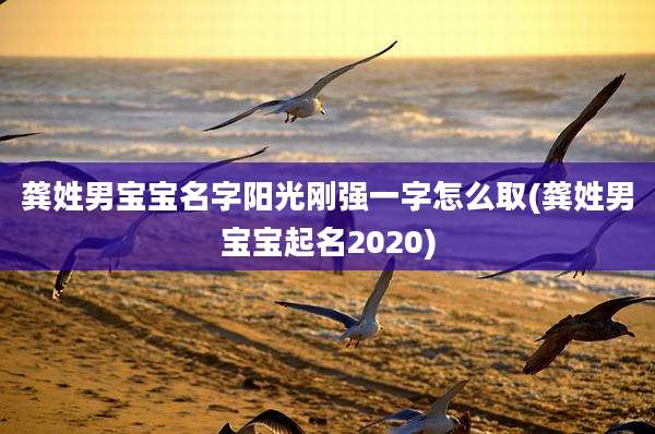 龚姓男宝宝名字阳光刚强一字怎么取(龚姓男宝宝起名2020)