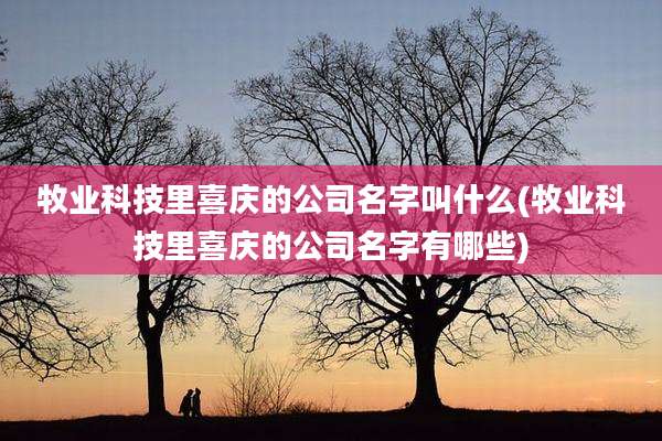 牧业科技里喜庆的公司名字叫什么(牧业科技里喜庆的公司名字有哪些)