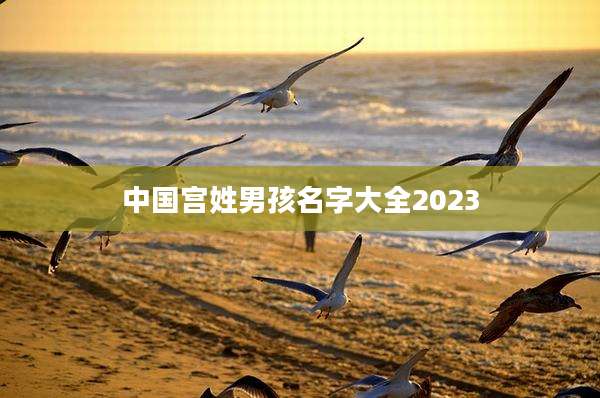 中国宫姓男孩名字大全2023
