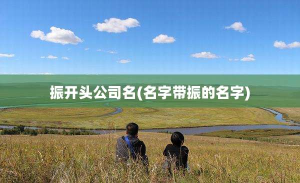 振开头公司名(名字带振的名字)