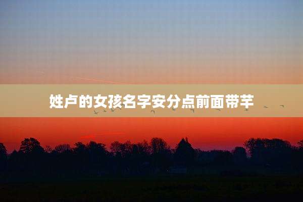 姓卢的女孩名字安分点前面带芊