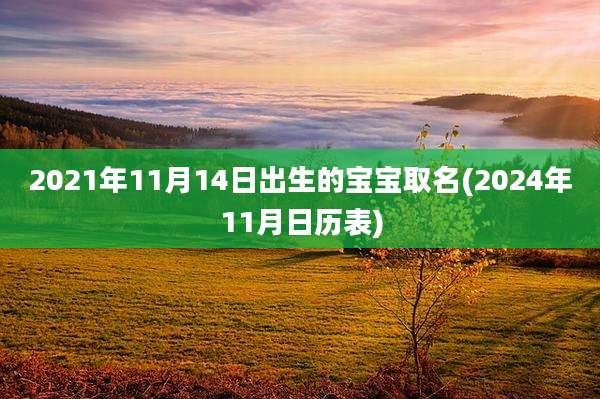 2021年11月14日出生的宝宝取名(2024年11月日历表)