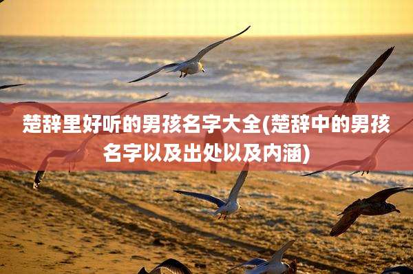 楚辞里好听的男孩名字大全(楚辞中的男孩名字以及出处以及内涵)