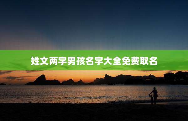 姓文两字男孩名字大全免费取名