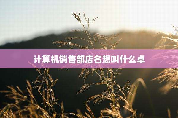 计算机销售部店名想叫什么卓