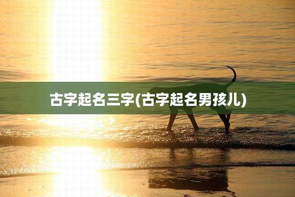 古字起名三字(古字起名男孩儿)