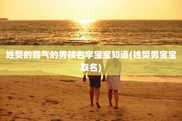 姓樊的霸气的男孩名字宝宝知道(姓樊男宝宝取名)