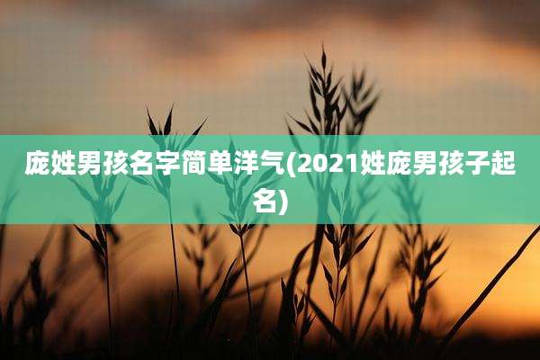 庞姓男孩名字简单洋气(2021姓庞男孩子起名)